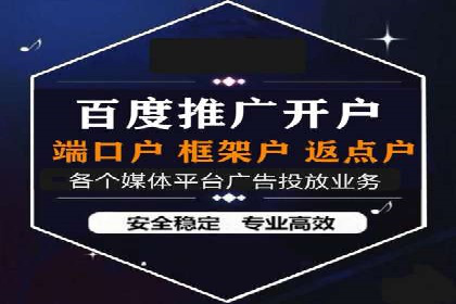 某公司通过百度竞价实现业务快速增长的案例